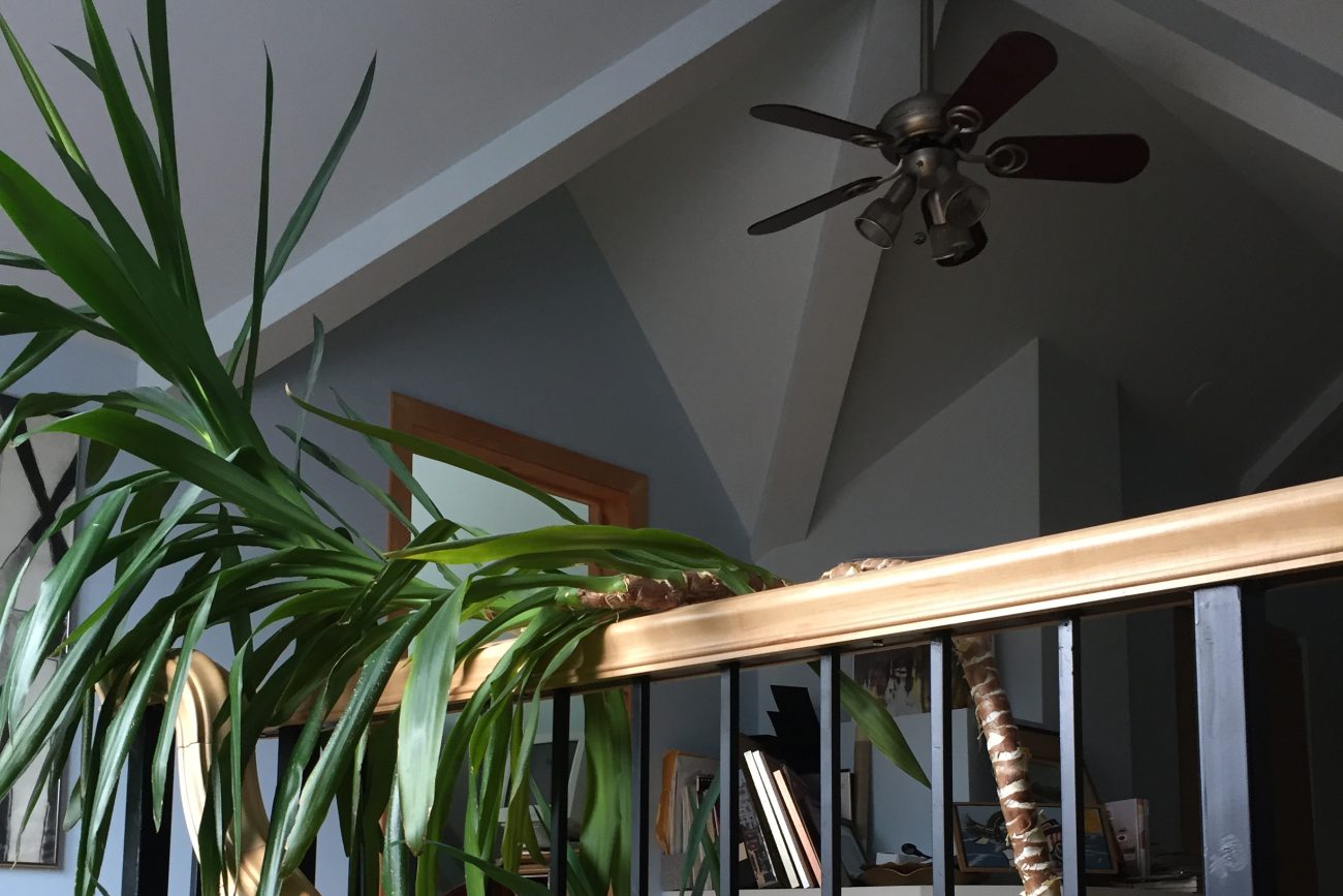 Home - Ottawa Quality Painting